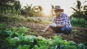 Hidden Huger - A Farmer Analyzing Soil Quality - 1