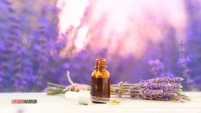 Benefits of Lavender Essential Oil - LiveGoodWarrior.com