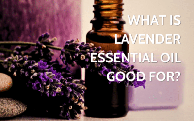 What Is Lavender Essential Oil Good For?