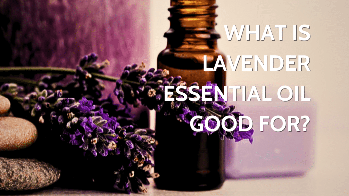 What Is Lavender Essential Oil Good For?