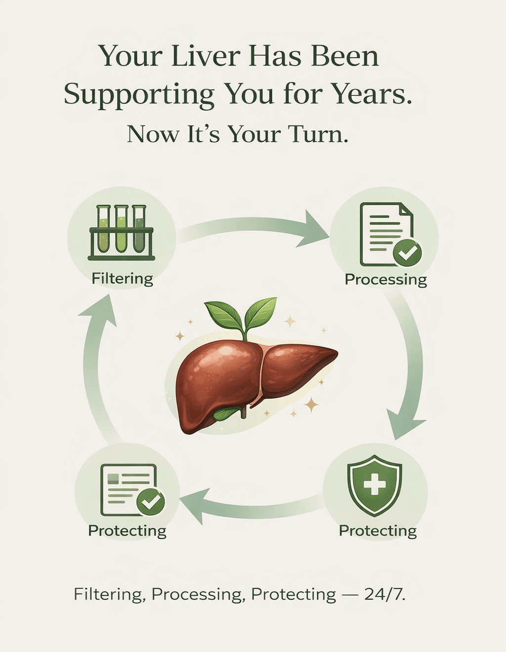Infographic illustrating how the liver filters, processes, and protects the body