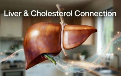 What You Need To Know About Your Liver and Cholesterol Connection